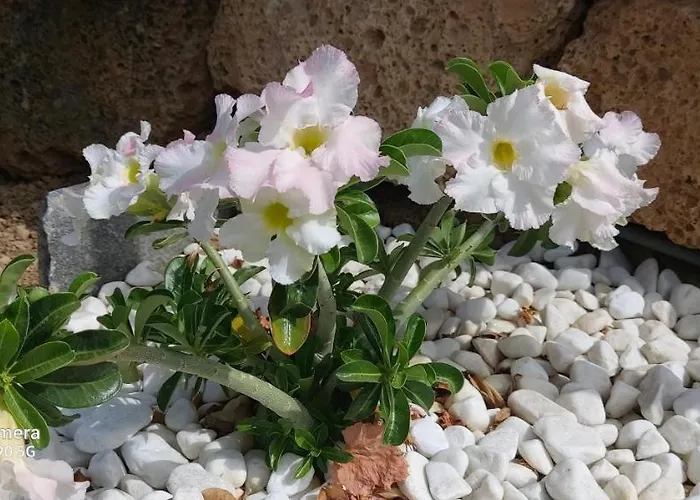 Chalet Casa Luis Pico