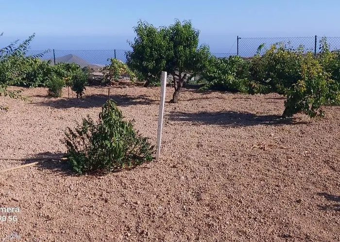 Casa Luis Pico Granadilla De Abona